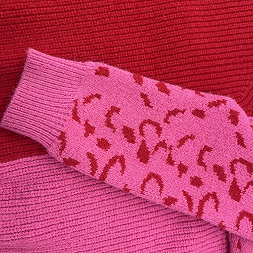 Image of ANCAPELION Women's V Neck Sweater Pullover Leopard Long Sleeve Basic Color Block Jumper Casual Knitted Tops