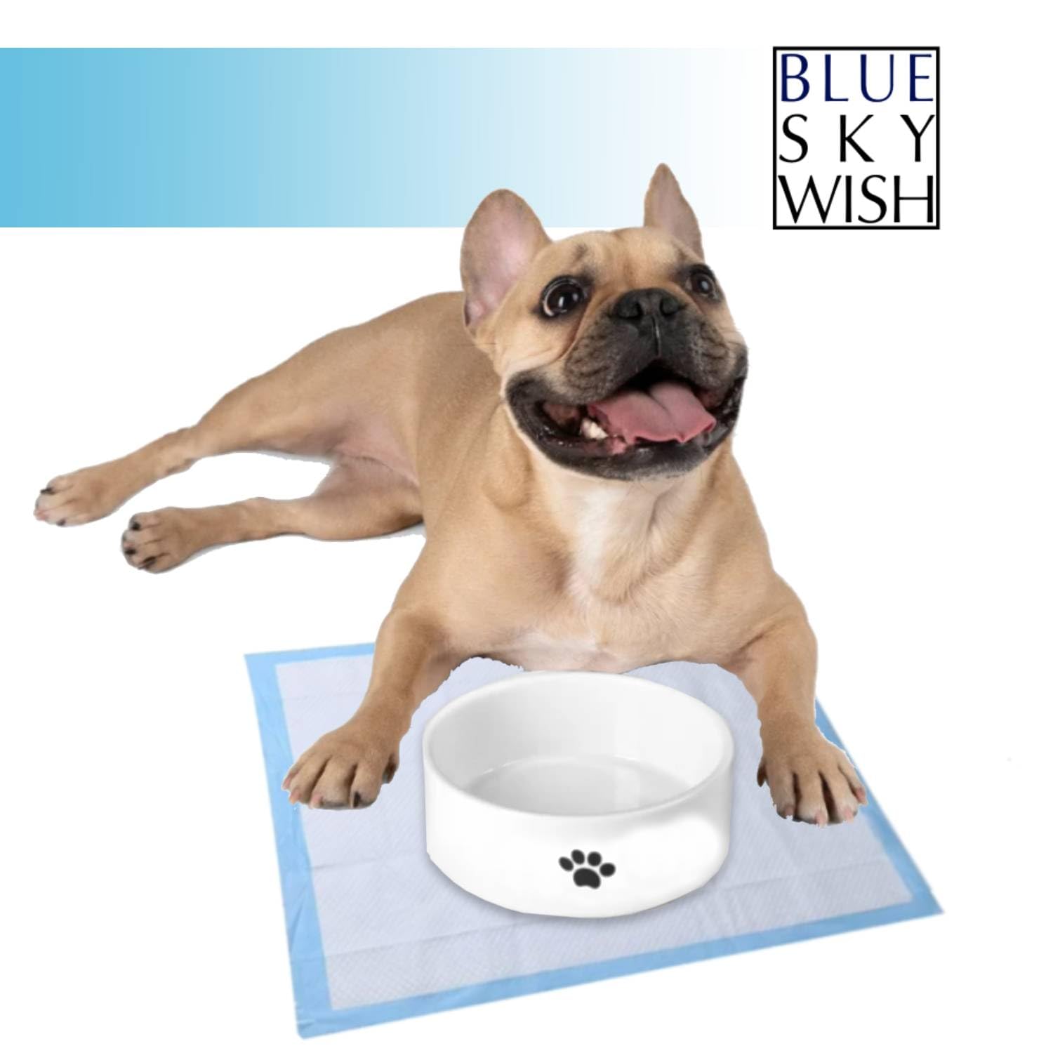 Almohadillas de entrenamiento para mascotas, 100 unidades tamaño pequeño de 13 x 18 pulgadas, almohadillas absorbentes desechables para orina para perros y cachorros (almohadillas
