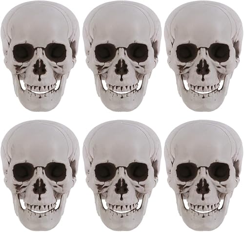Abaodam Decoración de calavera para automóvil, calaveras de plástico, calavera artificial para Halloween, modelo realista de hueso de calavera