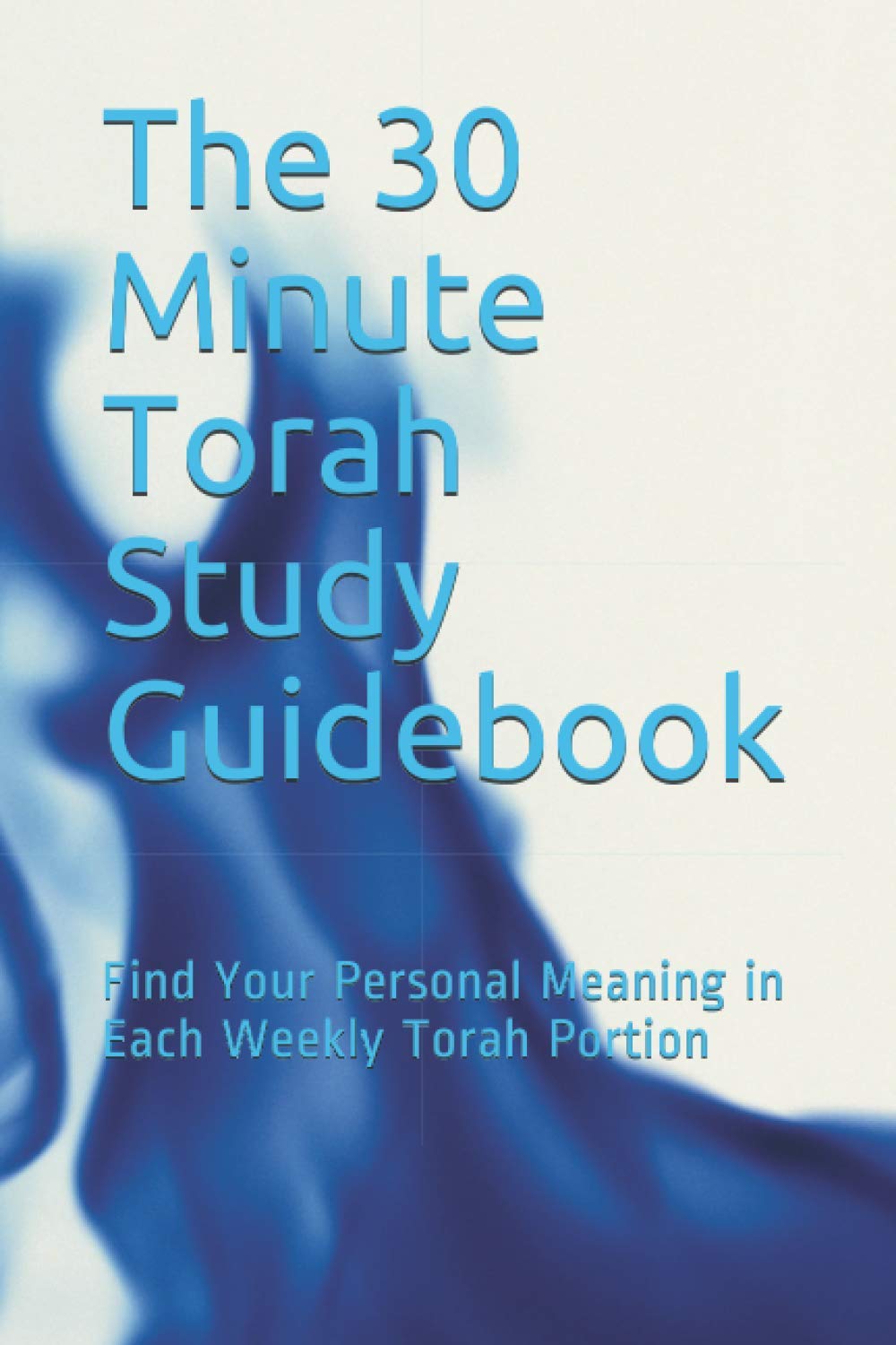 The 30 Minute Torah Study Guidebook: Find Your Personal Meaning in Each Weekly Torah Portion
