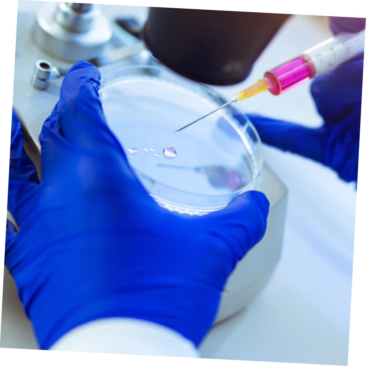 Gatuida 40pezzi Piastra Di Coltura Trasparente Con Coperchio Per Esperimenti Scientifici e Analisi Laboratorio Materiale Plastico Resistente e Pratico
