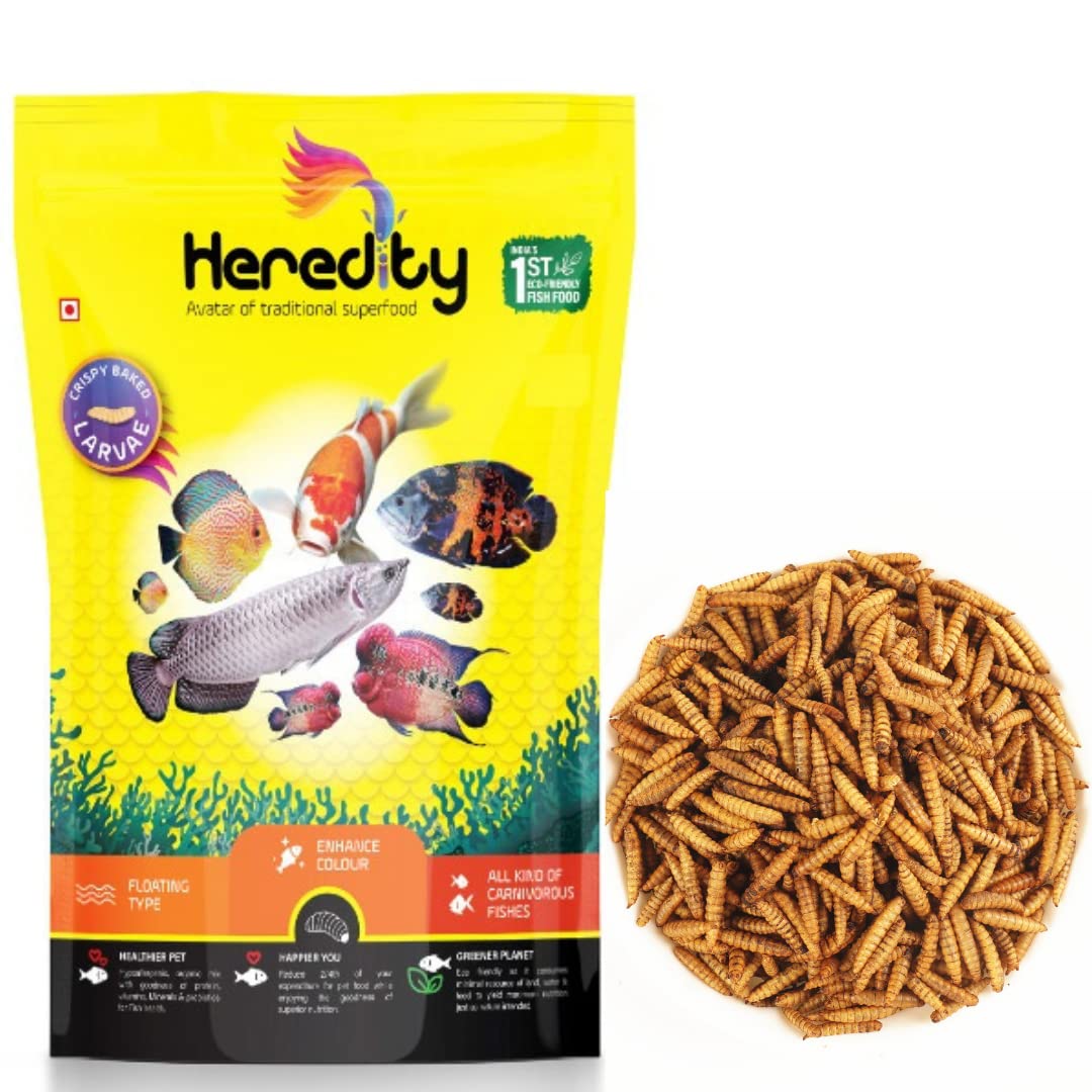 PetzLifeworld Heridity 100% Natural Eco Friendly Dried Black Soldier Larvae 100g (1200+ Larvae) for Fish, Birds and Reptile Food 100g