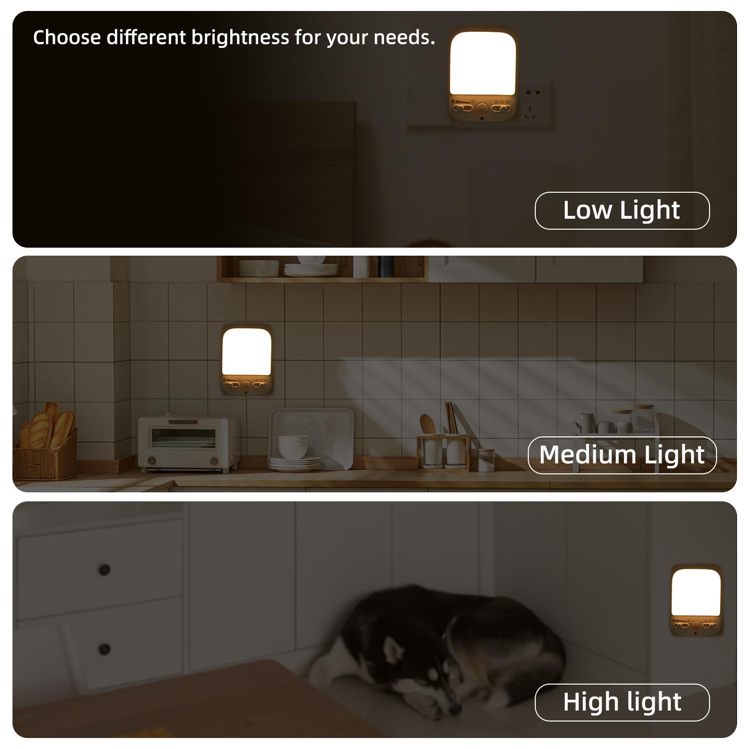 LED Night Light Plug into Walls, Plug-in, Dusk to Dawn