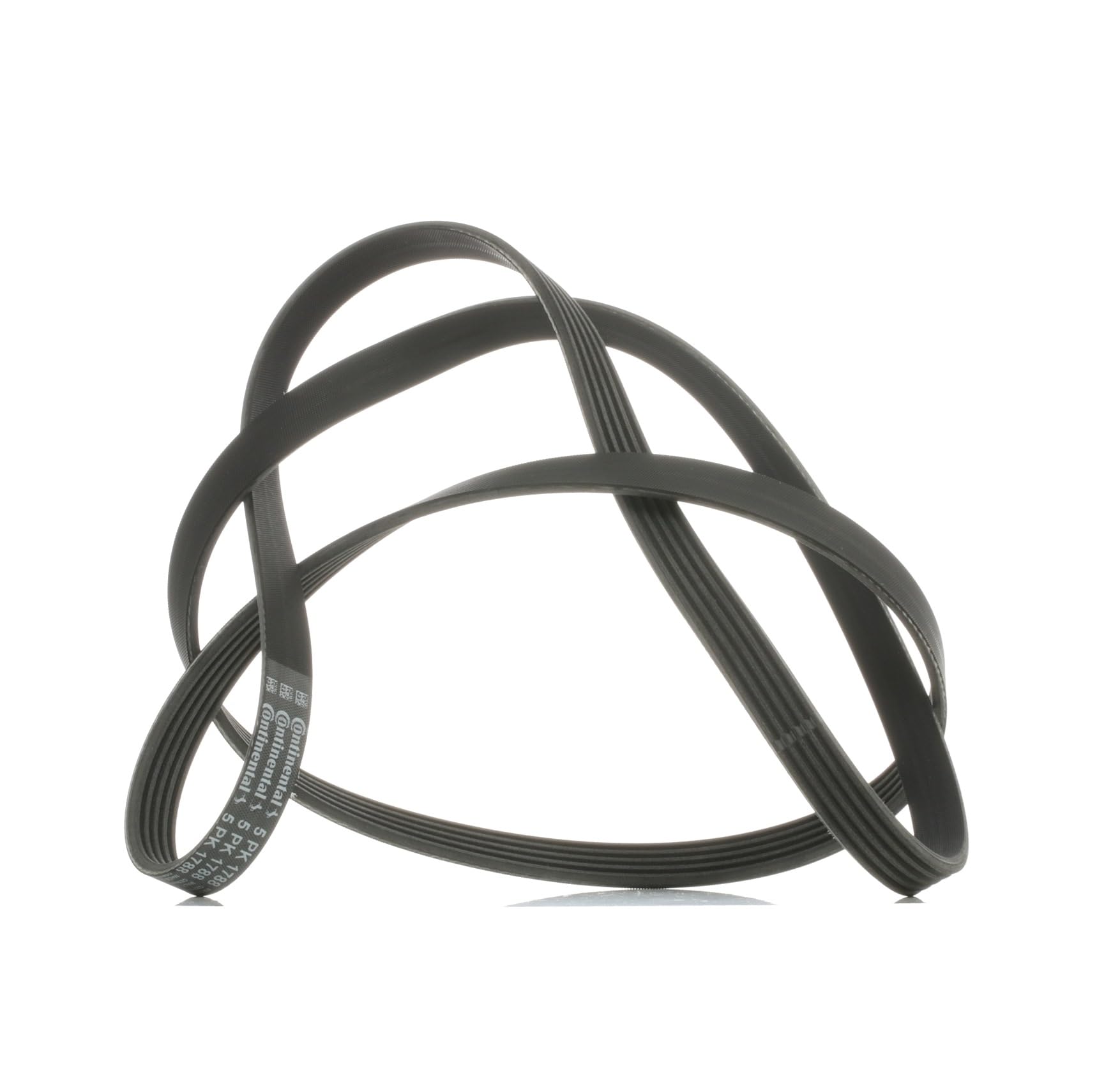Fits CONTITECH 5 PK 1788 V-Ribbed Belt 5 PK 1788 Multi-V-belt (5PK1788) fits: C