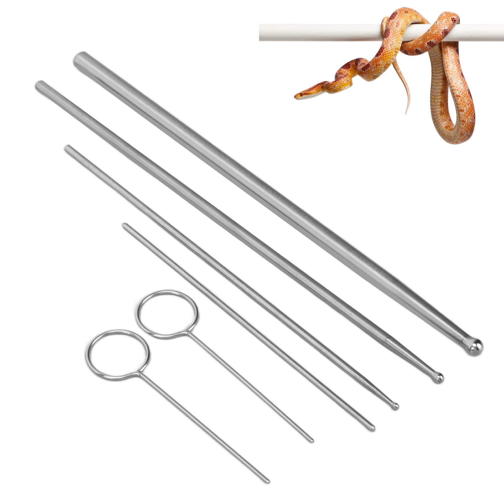 Rettili Forniture per Serpenti, Kit Sonda Serpente 6 Pezzi, Testa Rotonda in Acciaio Inox, Sonda Sessuale Antiallergica, Rilevatore Portatile