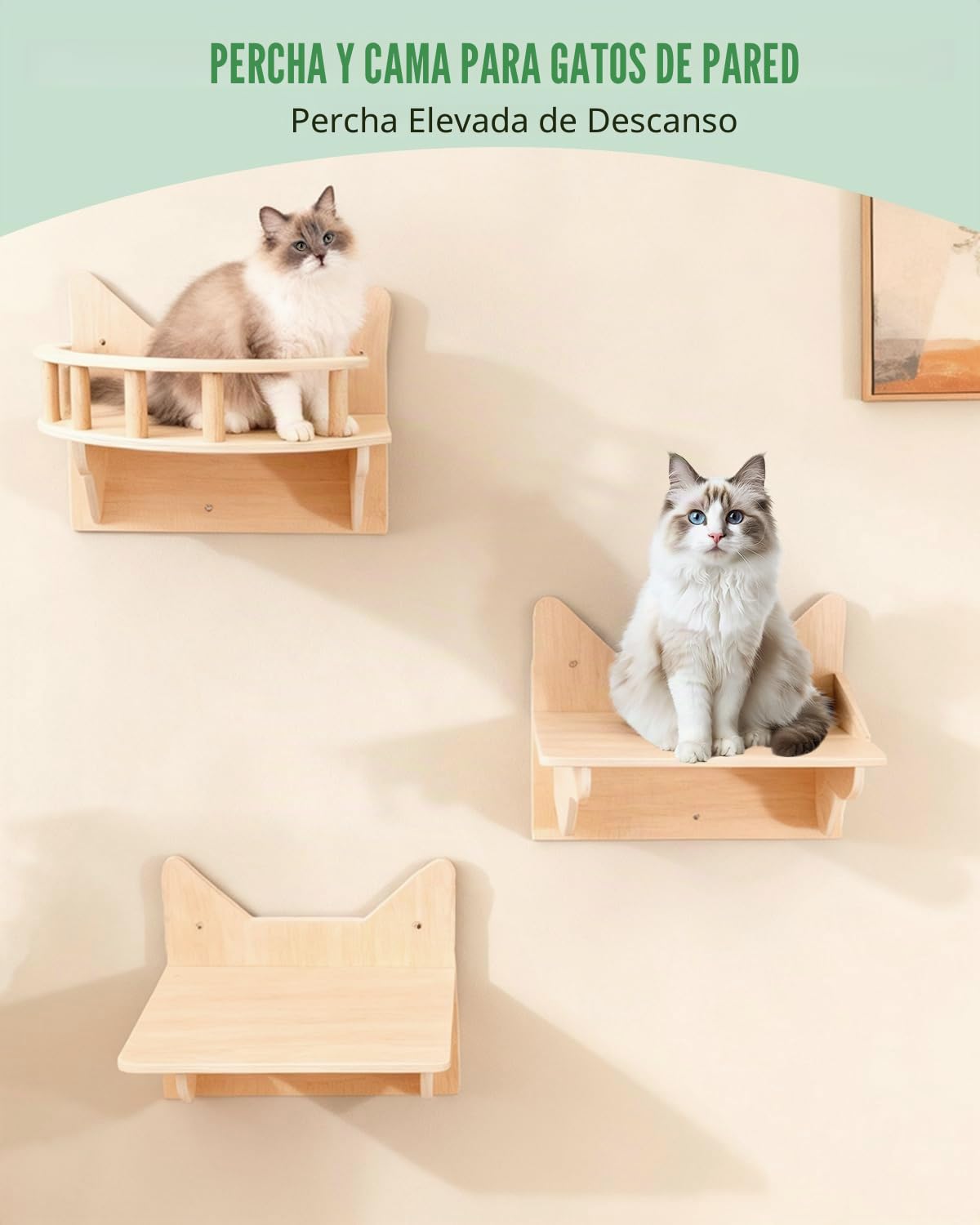 Estantes de Pared para Gatos 6 en 1, con Cueva, Torre hasta 15 kg | Estanterías para Gatos con Plataformas, Poste de Escalada y Rascador, Espacio Vertical con Zonas de Descanso y Áreas de Juego