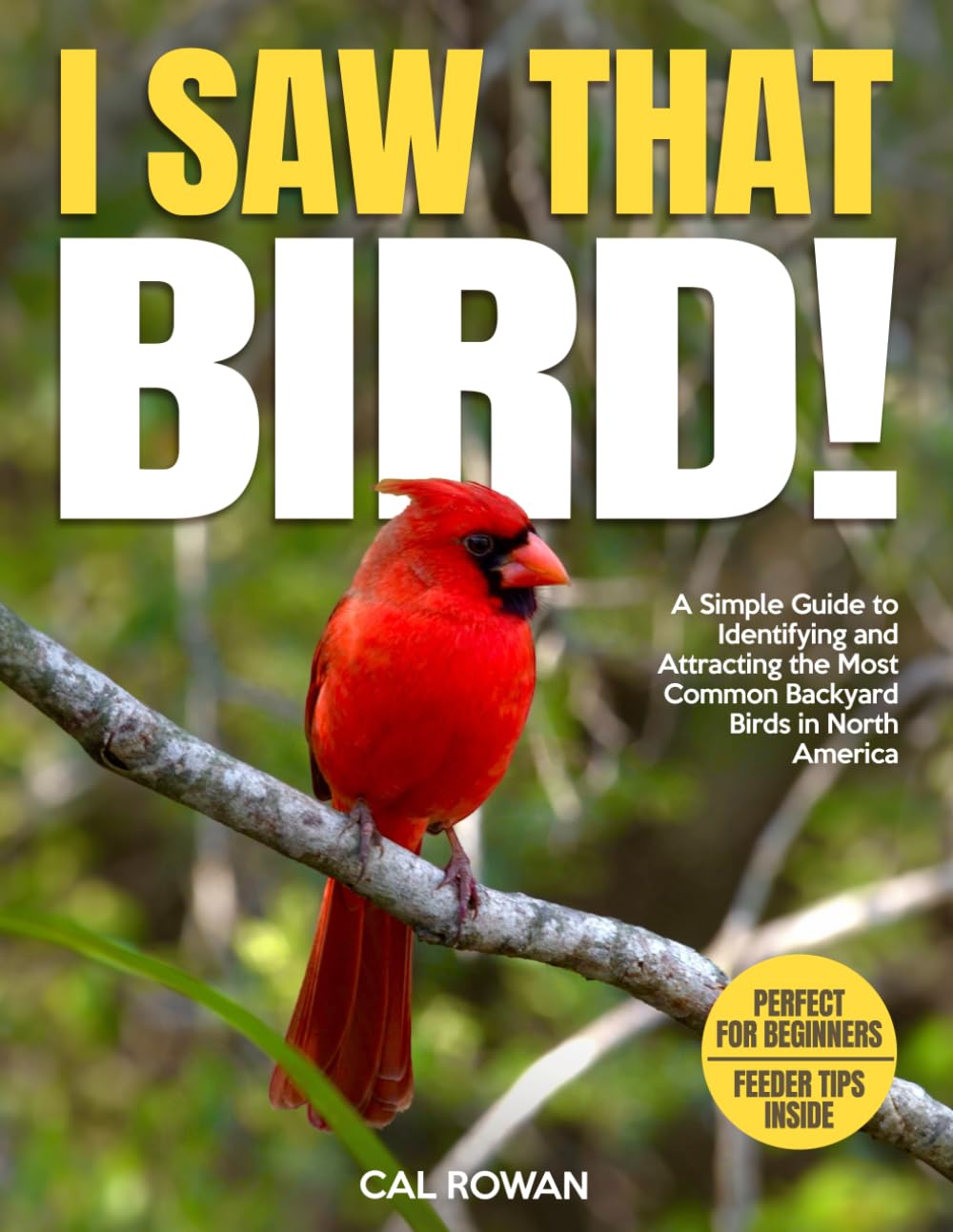 I Saw That Bird! Beginner Guide to ID 90+ Common Backyard Birds North America - Full-Color Photos & Feeder Tips