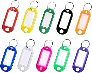 Key Tags, Pack of 10 Key Tags with Labels Key Fobs ID Plastic Key Tags Key Labels with Split Rings for Luggage Pet Name Memory Stick Tags-10 Colors