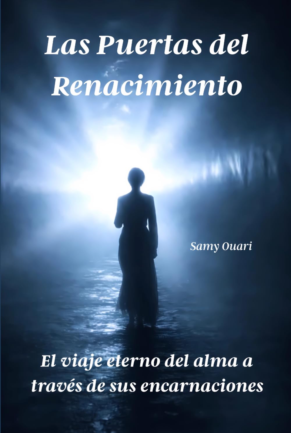 Las Puertas del Renacimiento: El viaje eterno del alma a través de sus encarnaciones (El Alma en Luz)