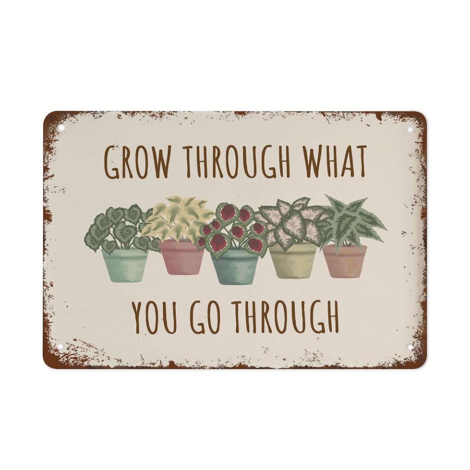 Sitrmgh Signage Style 1353 Plant Quote Wall Art Grow Through What You Go Through Print Plant Therapy Decor Social Worker Office Decor School Counselor Office Decor Funny Sign For Home Coffee 8X12 Inch