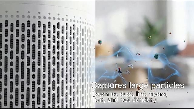 Amazon.com: Azeus Air Purifier for Large Rooms, Home, Pets