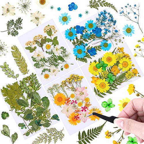 102Pcs Dried Pressed Flowers for Resin, Real Dried Flowers Leaves Bulk for Resin Molds Natural Dry Herbs Kit for Scrapbooking, Jewelry, Candle, Soap Making, Nails DÃ©cor, Art Supplies,Tweezers Included