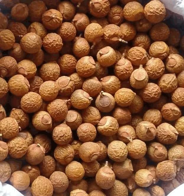 Miniatura 3 de Mrigakshi Naturals - Cápsulas de Reetha secas enteras  Aritha Pods  Nueces de jabón  Jaboneras  Champú para el cabello a base de hierbas - 200 g (7