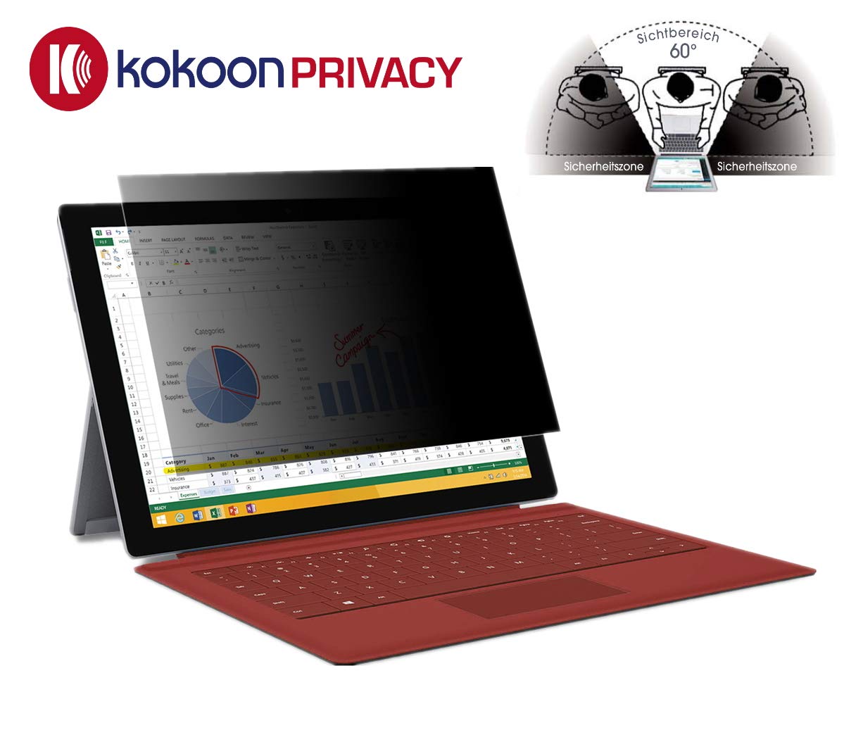 Privacy - Filtro Privacy per Laptop/Notebook da 17,3"