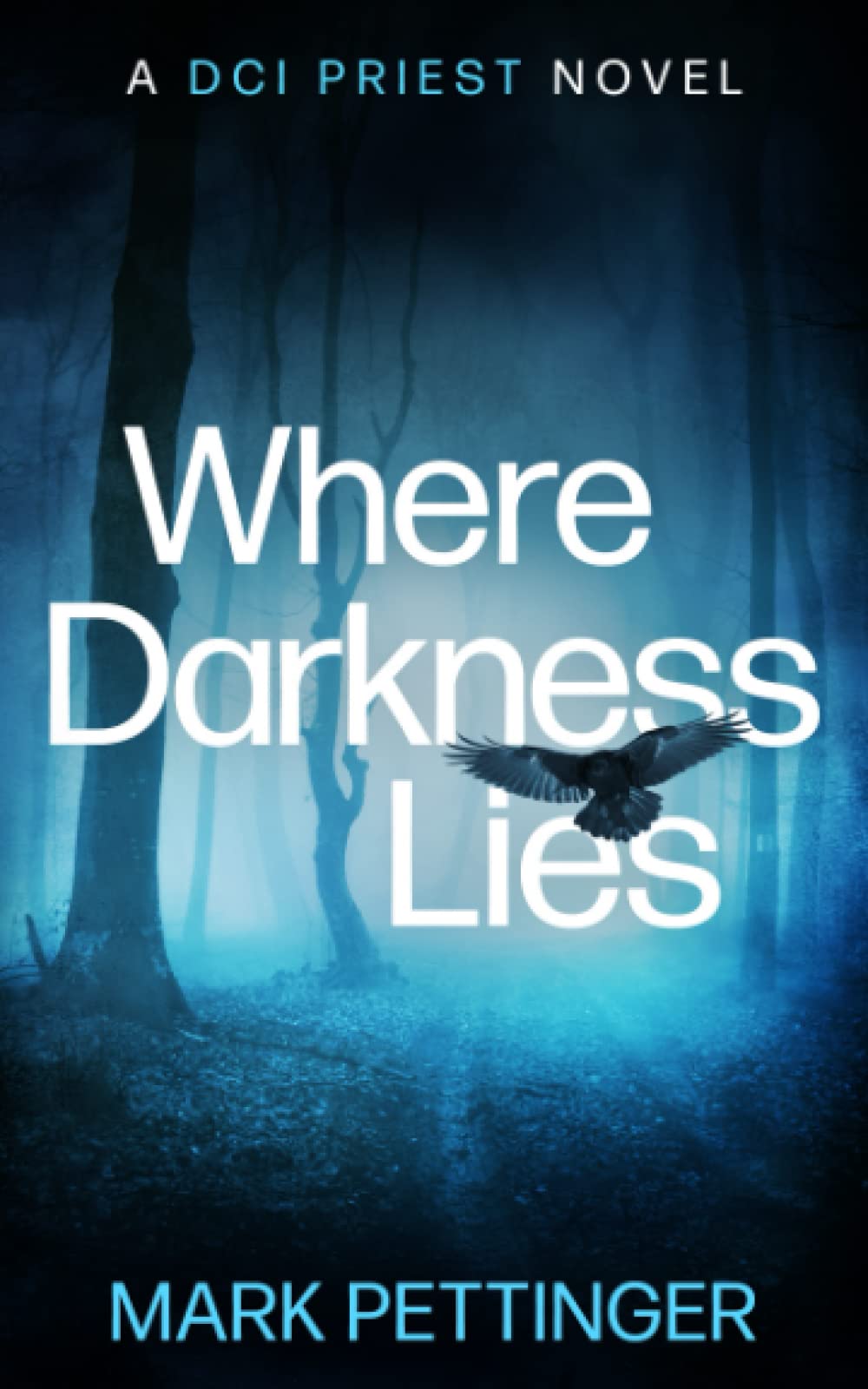 Where Darkness Lies: (DCI Priest Series Book 4)