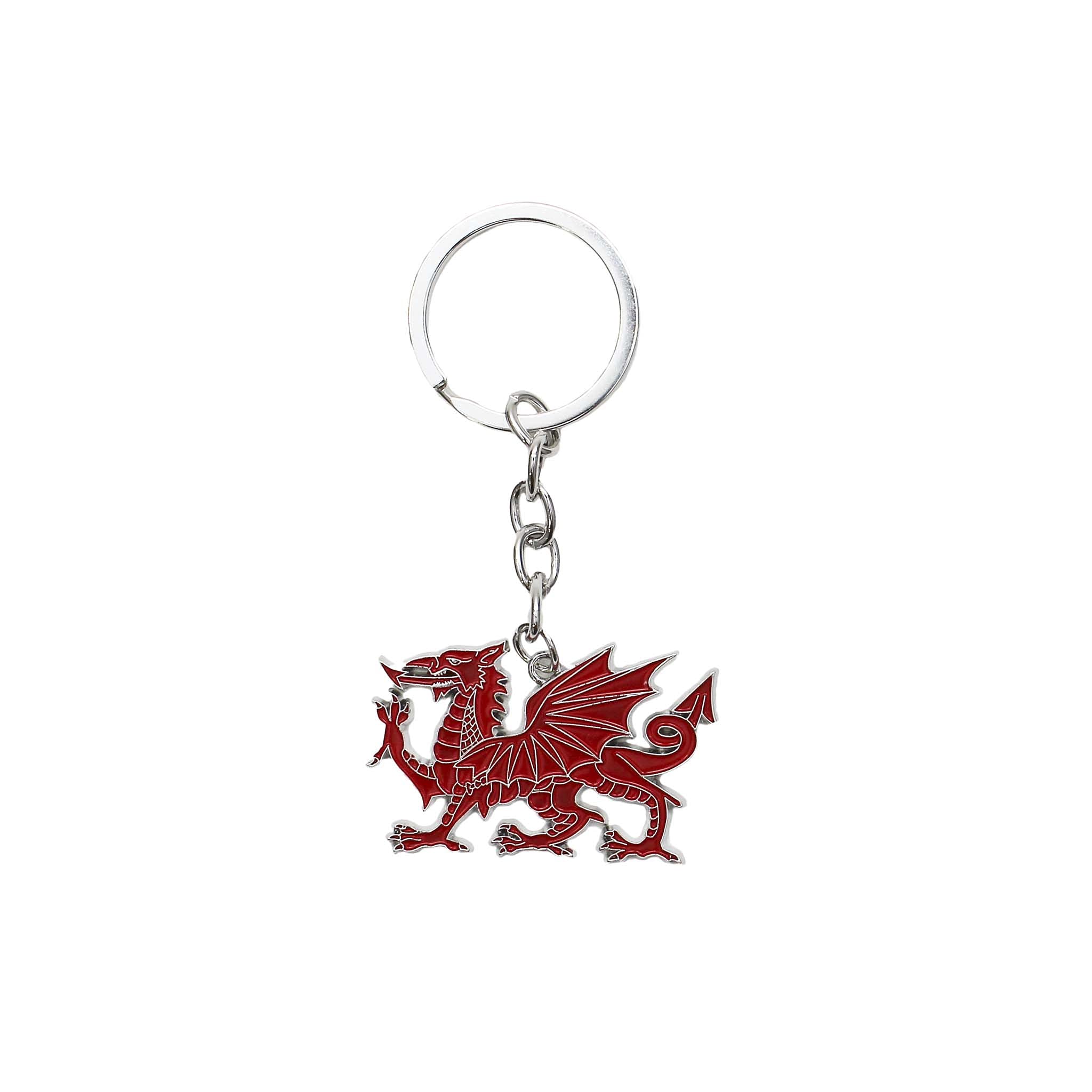 Eurostick Unisex Welsh Icon Keyring Wales Welsh Cardiff Multi Keyring Keychain Cymru Llanfair Bagcharm (Welsh Icon Keyring)