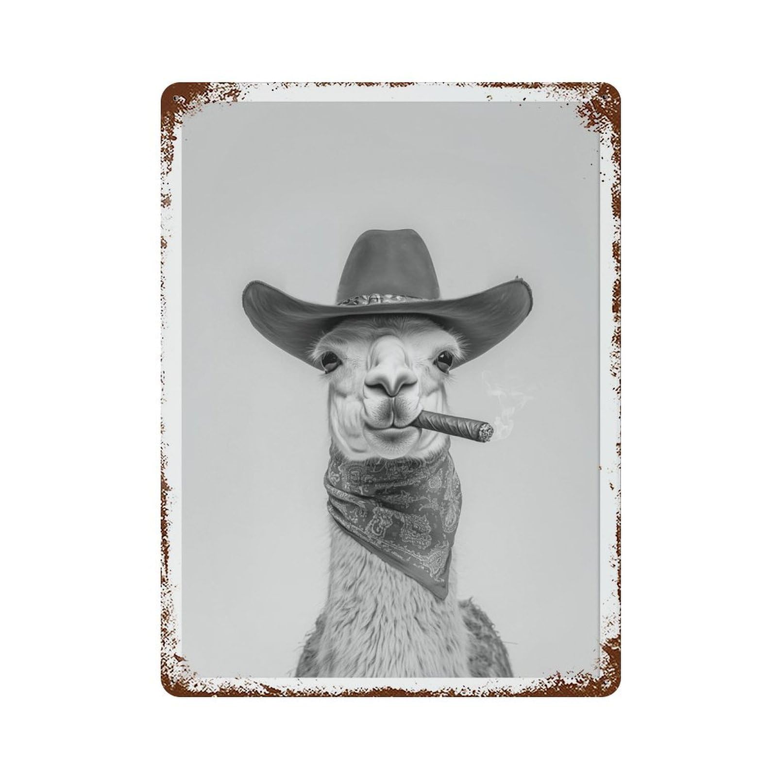 xiaoxiaoshen Llama Cowboy Vintage Western Animal Wall Decor Art Metal Tin Poster Modern Home Decor Art Home Bar Shop Decorations Vintage Sign 40x30cm