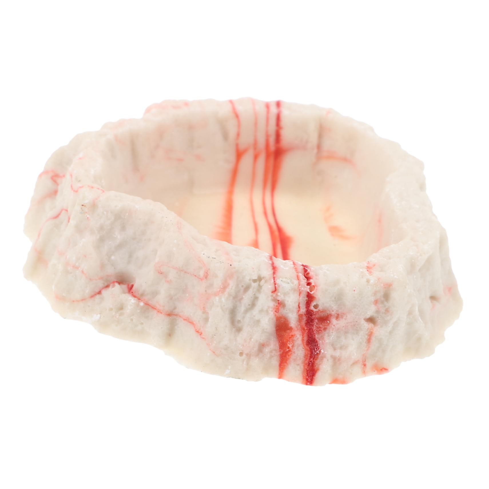 DECHOUS Rock Style Reptile Feeding Bowl Durable Water Dish for Bearded Dragon Leopard Gecko and Other Lizards Easy to Clean Resin Design for Terrariums and Reptile