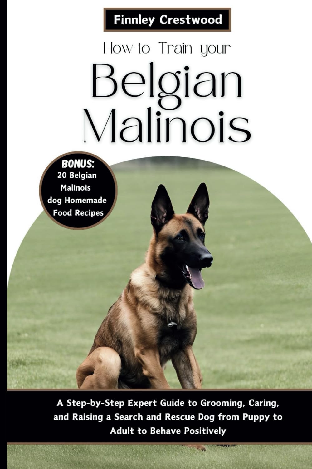 How to Train Your Belgian Malinois: A Step-by-Step Expert Guide to ...