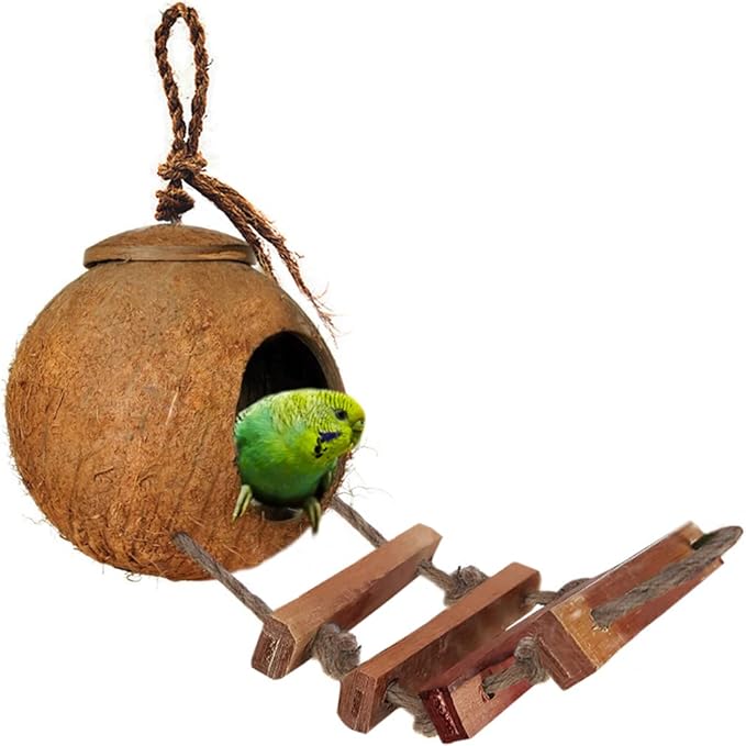 Bird House with Ladder - Beautiful Nesting Home and Bird Feeder - Natural Textures Encourage Foot and Beak Exercise - 100% Natural Coconut Husk - Sustainable Materials - Durable Habitat