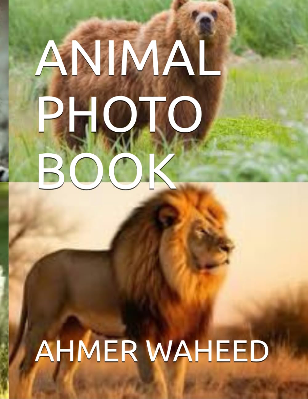 A Journey Through the Animal Kingdom