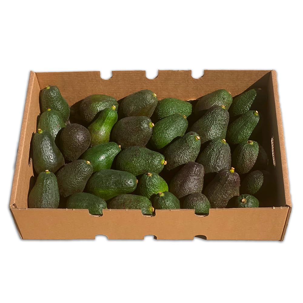Aguacate Hass fresco 9 Kg producción local Castellón España cultivo sostenible sin químicos