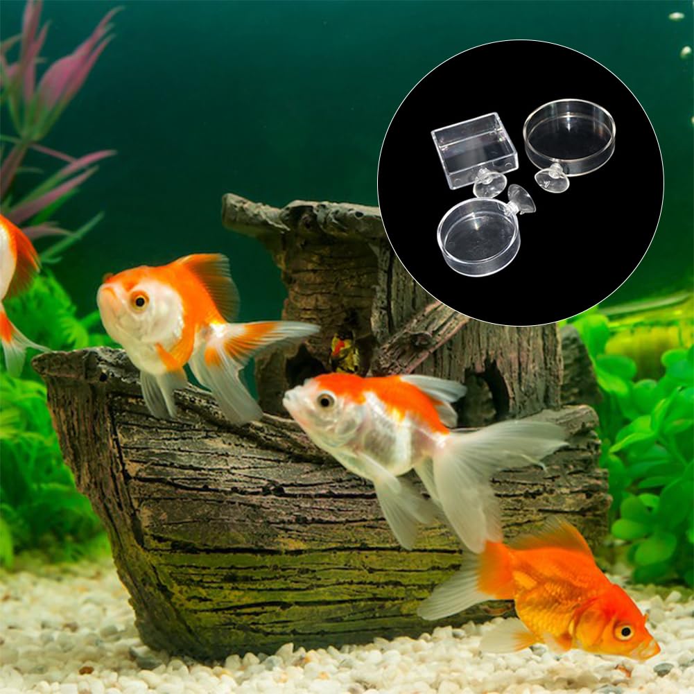 Aquarium Futternapf,Aquarium Futterschale,3 Stück Aquarium Garnelen Feeder,Fisch Garnelen Futternapf,Acryl Klar Garnelen Futternapf Tank Futternäpfe Mit Saugnapf,Futterschale Für Garnelen Im Aquarium