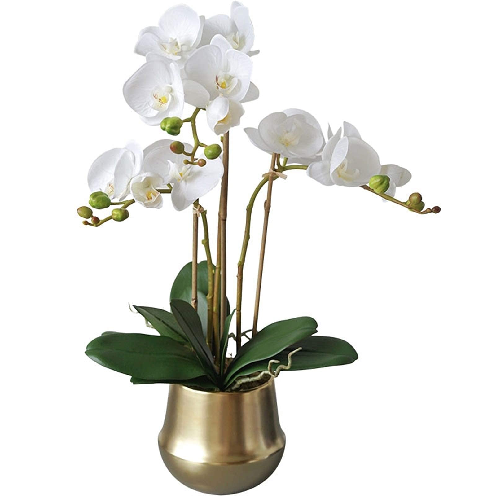 XDLEDMKIZ Artificial Flower Set, Artificial Orchid Bonsai with Golden Vase,Faux Phalaenopsis Plants Orchids Flowers Floral Arrangements for Table Centerpieces Living Room
