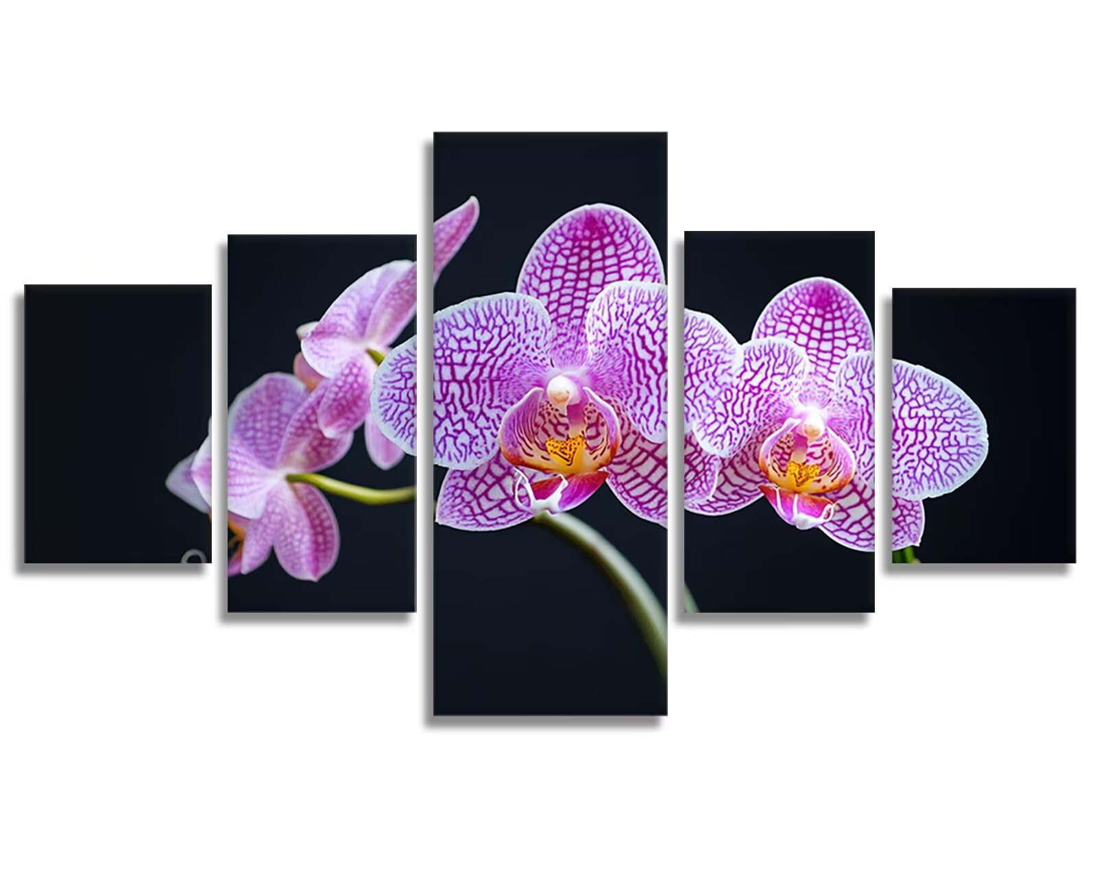 Zestaw 5 sztuk kwiatowych diamentów, sztuka Phalaenopsis, orchidea, diamentowe zestawy do malowania dla dorosłych, początkujących, sztuka i rękodzieło, do dekoracji pokoju, prezenty 175 x 90 cm, model