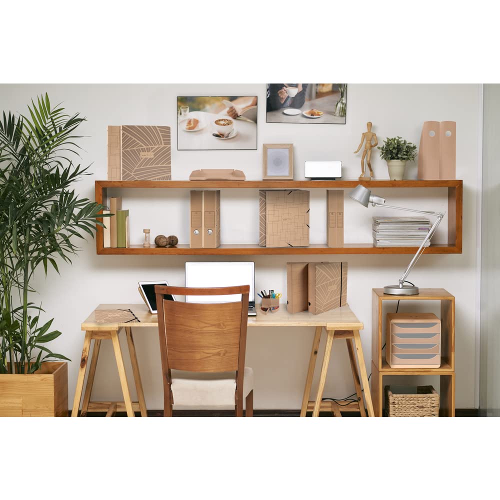 Exacompta - Réf. 54947E - Carton de 10 classeurs rembordés Eterneco rigides - 2 anneaux ronds diamètre 30 mm - dos 40 mm - dimensions extérieures 32 x 26cm - format à classer A4-2 visuels assortis