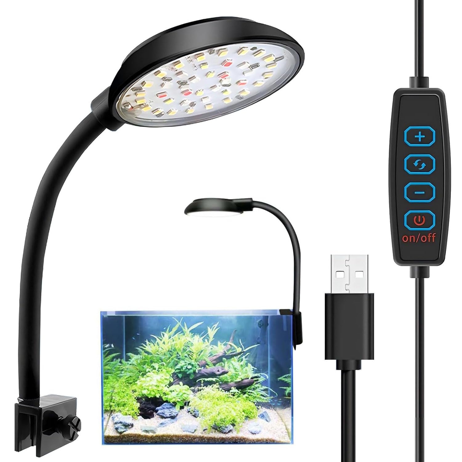 LED 3Wライト　2白1青30個 観賞魚、植物、水槽など多用 楽天市場】【期間限定エントリーでP5倍UP!】水槽ライト