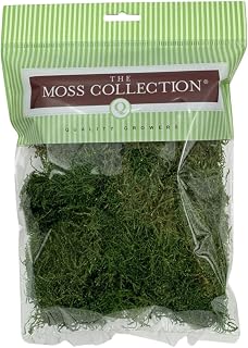Sheet Moss, Preserved Moss, Green, Small 1-Pack