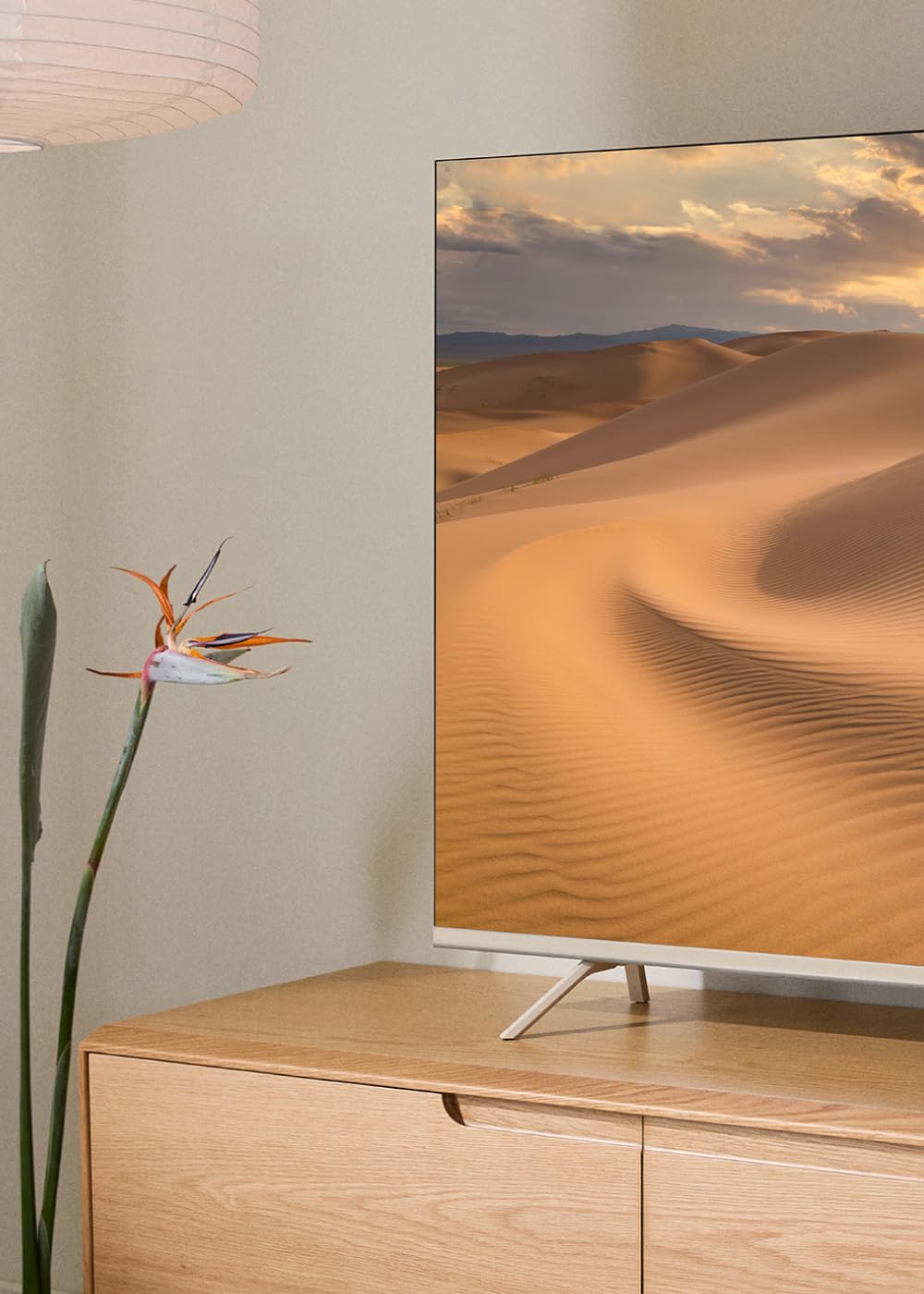 Smart TV QLED 4K 43" Arena Pantalla antirreflejos Acabado Mate Control por Voz Dolby Atmos Low Blue Light Flicker Free HDMI