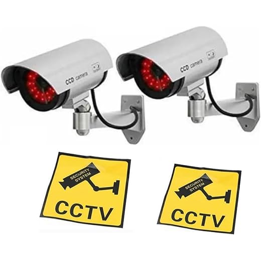 Dummy CCTV Fake Camera with Light