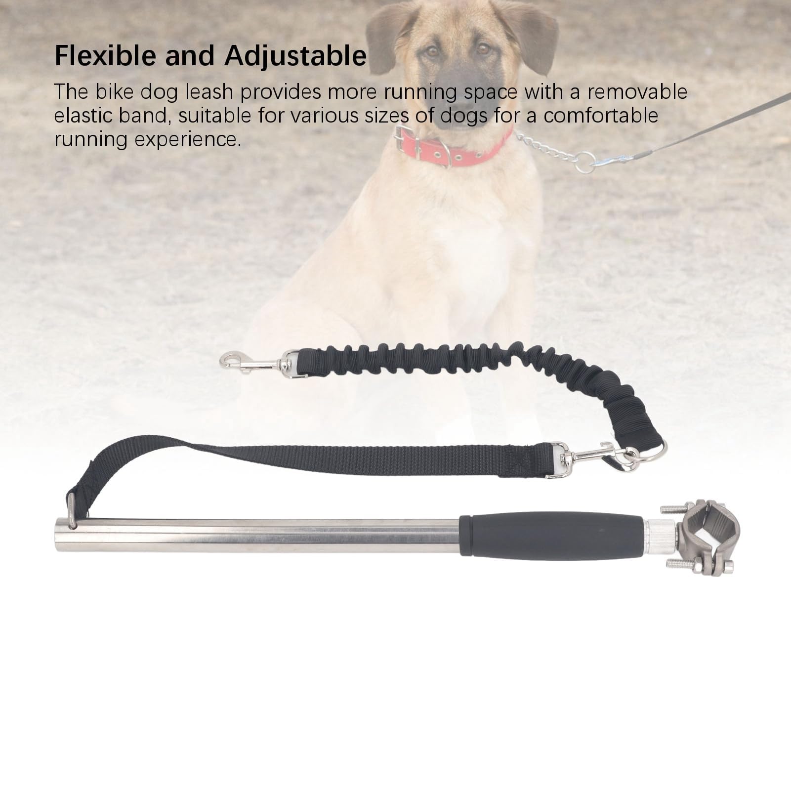 Laisse rétractable pour chien en acier inoxydable haute résistance, idéal pour l'entraînement, le jogging et le cyclisme