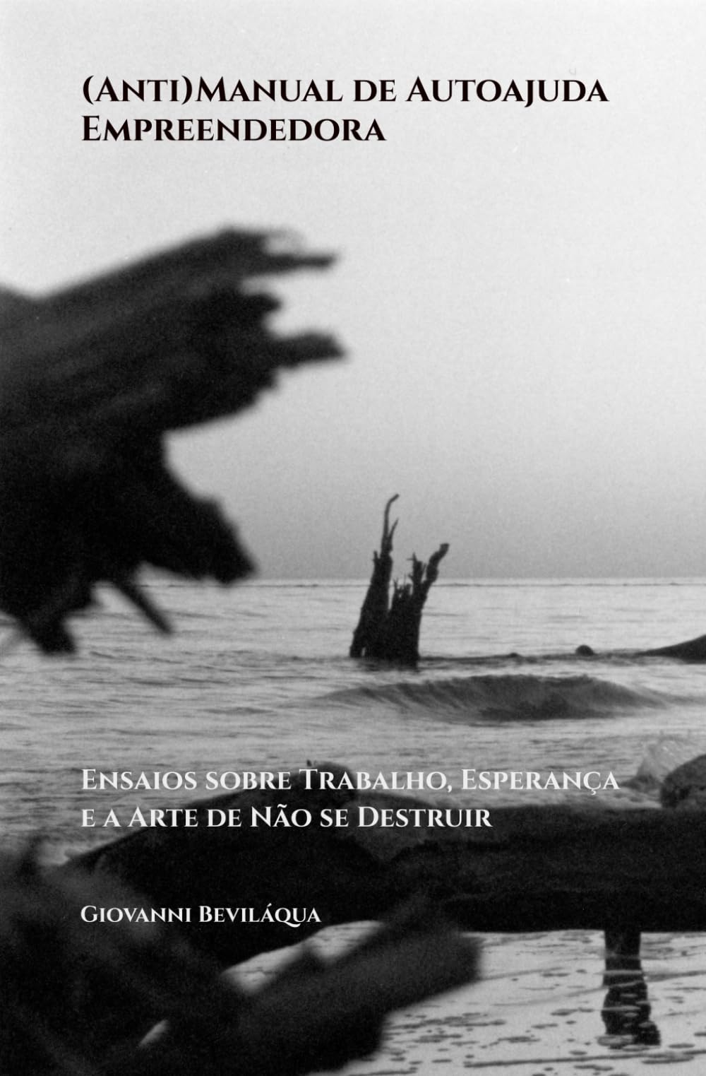 (Anti)Manual de Autoajuda Empreendedora: Ensaios sobre Trabalho, Esperança e a Arte de Não se Destruir (Pequenos Negócios e Desenvolvimento Social e Econômico)