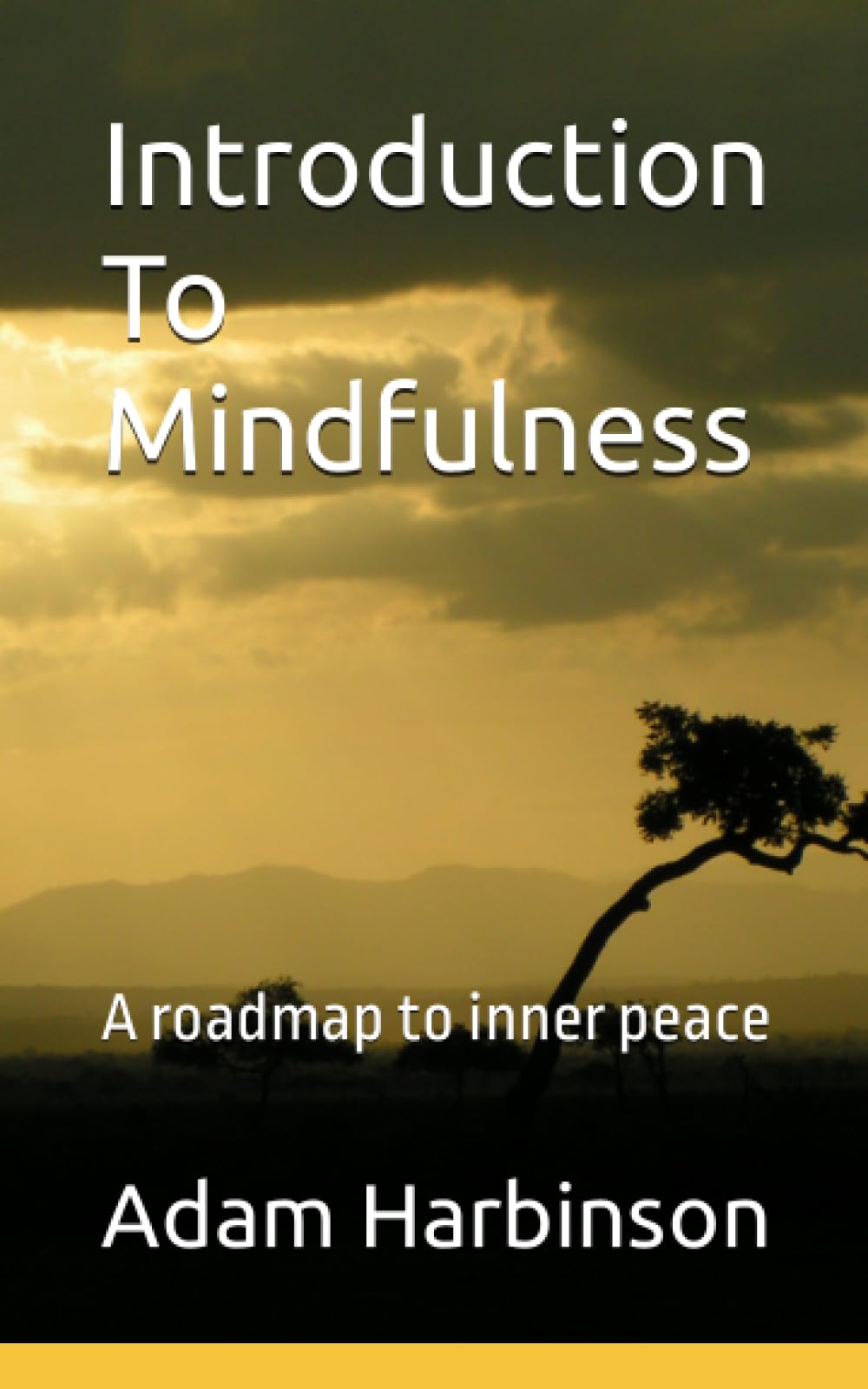 Introduction To Mindfulness: A roadmap to inner peace