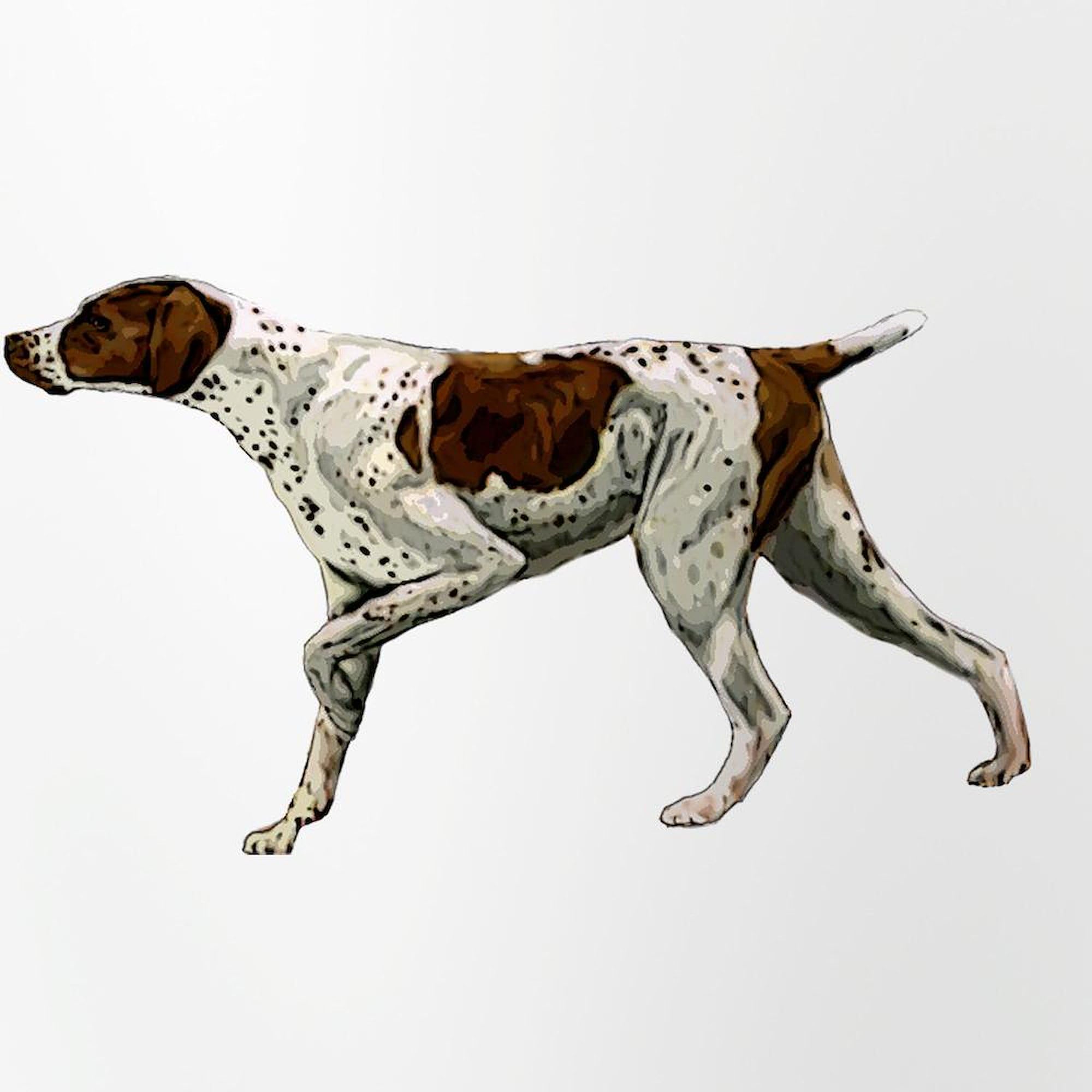 CafePress German Shorthair Pointing Pint Glass, 16 oz. Drinking Glass