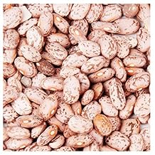 Bush Bean Pinto Bean Seeds