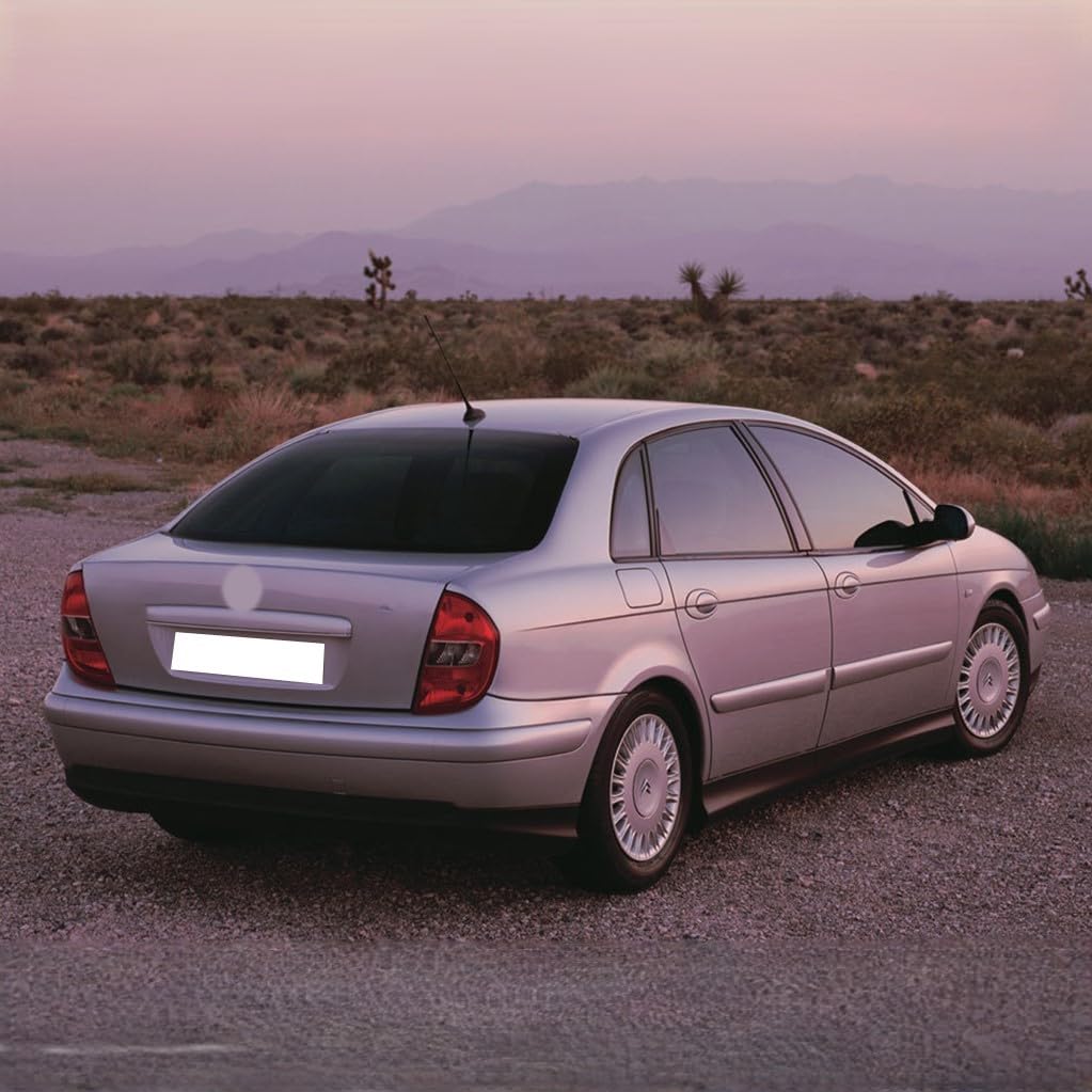 Arka Bagaj Amortisörü 1 Adet 8731F5 8731F6 Citroen C5 ile uyumlu 2001-2004