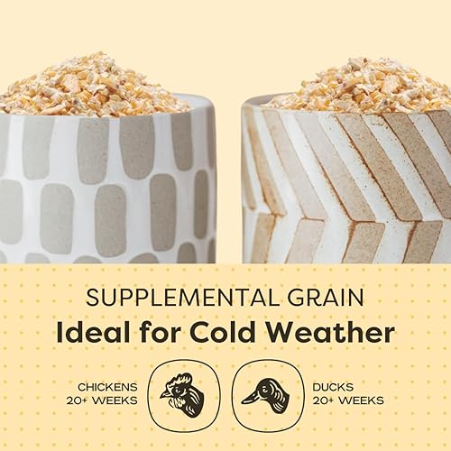Miniatura 4 de Scratch and Peck Cracked Corn Chicken, Duck and Livestock Supplemental Grain - 8 lbs Bag - 7.5% Protein, Certified Organic and Non-GMO Project