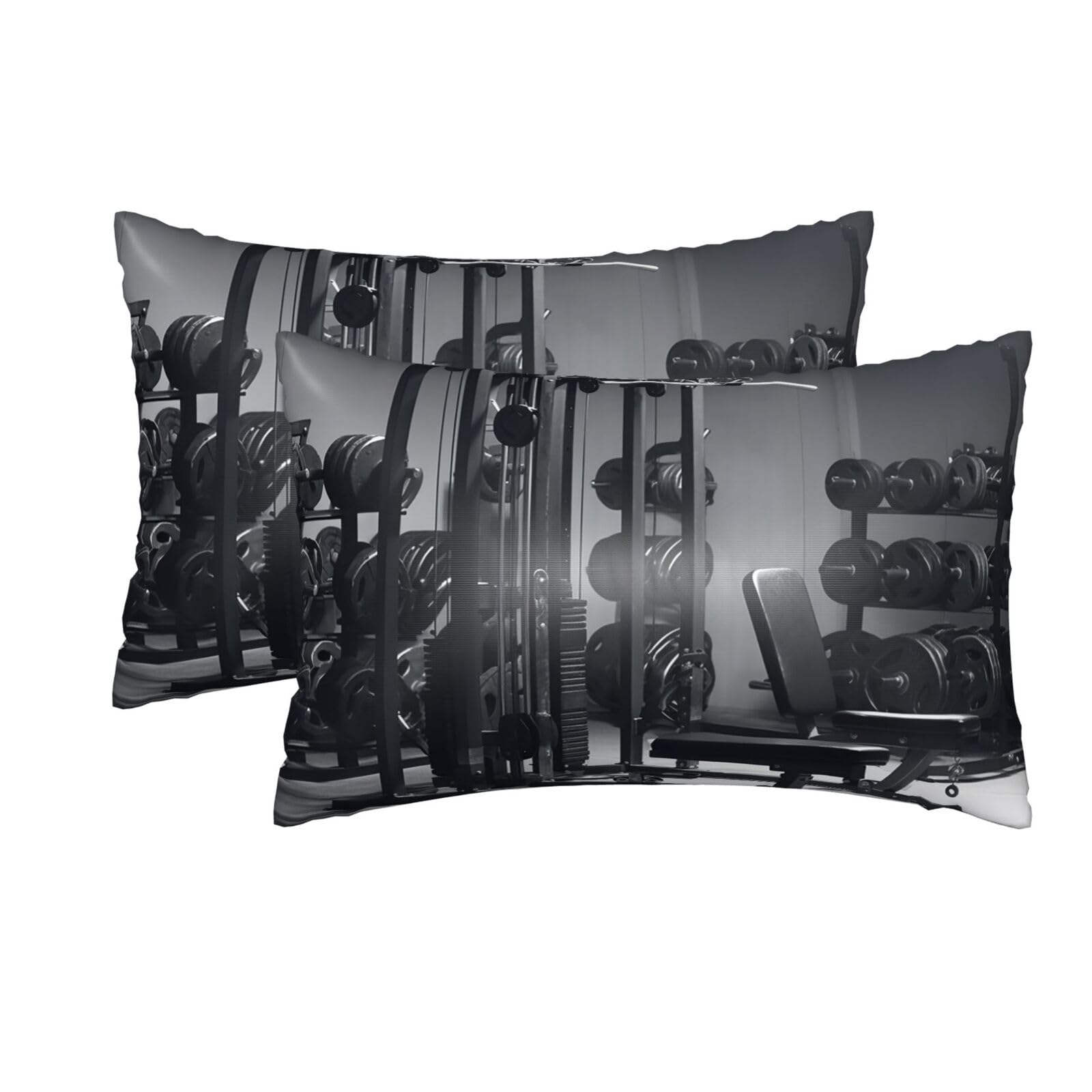 2 Pack Queen Silk Pillow Cases with Hidden Zipper, Luxury Soft Satin Pillow Covers for Hair and Skin, Gym Equipment Pillowcases 20"x30" Bed Pillow Protectors Cover for Sleeping Gifts