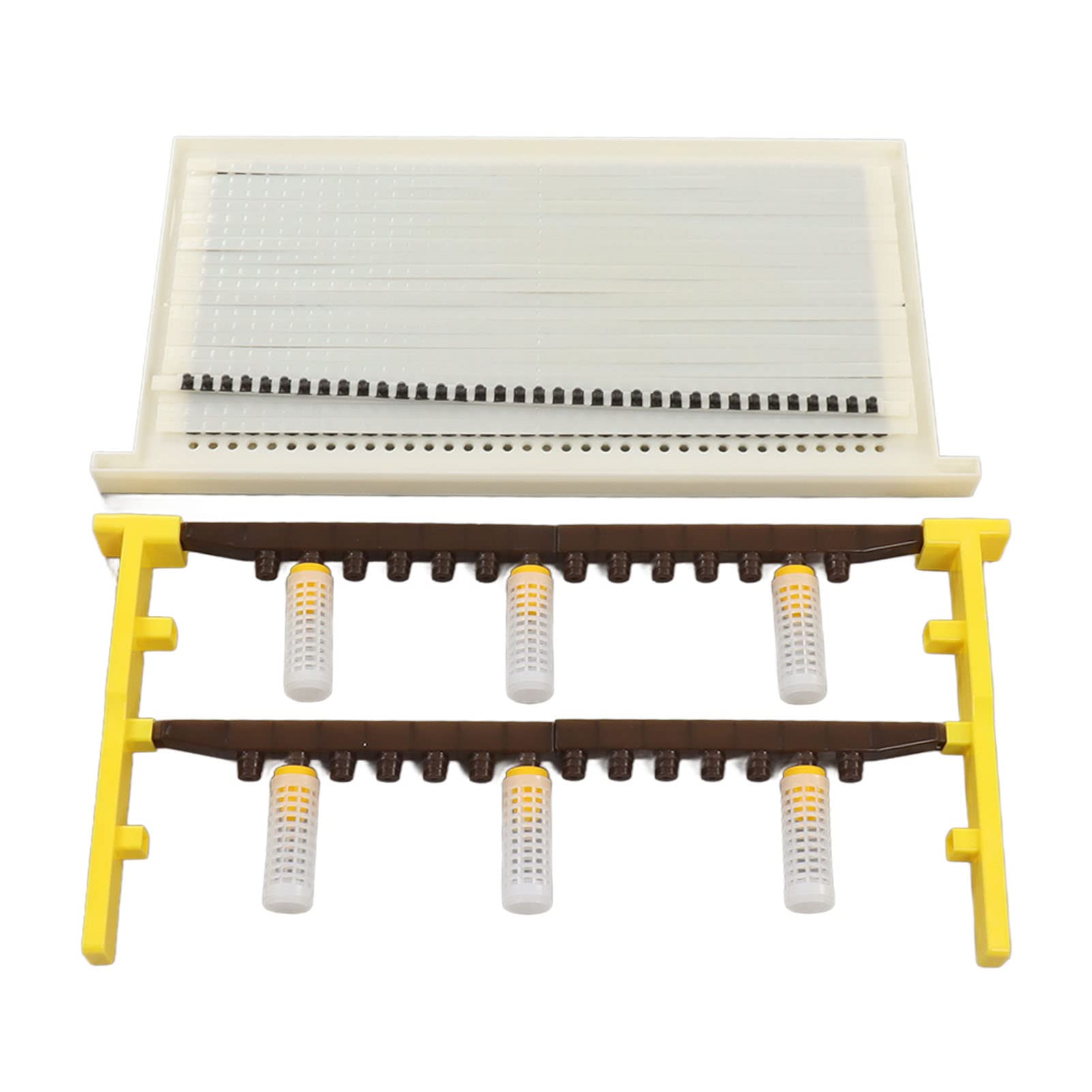 Kit de Cría de Abeja Reina Copa de Celda de Apicultura Juego de Marco de Cría de Abeja Reina para Apicultores - de Cría de Abejas Eficiente y Protector para Principios de