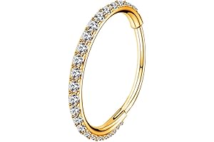 Exquisite Gold Hinged Segment Earring Hoop