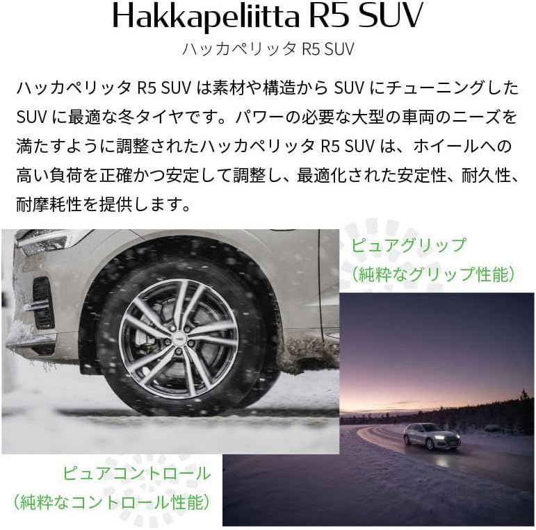 中山美穂 rouge fairys 販促パネル（横60 縦30）サイズ 中山美穂 30