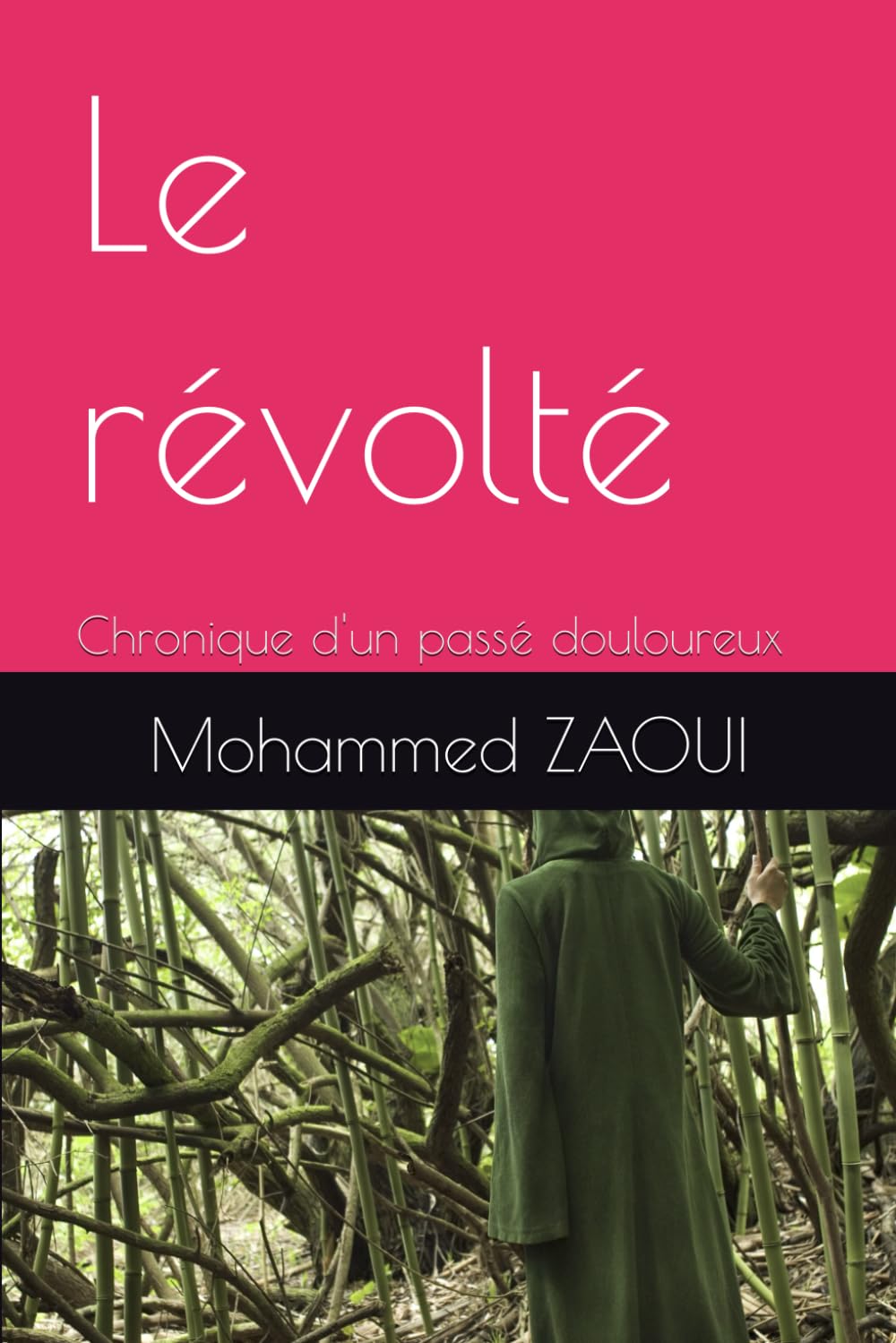 Le révolté: Chronique d'un passé douloureux