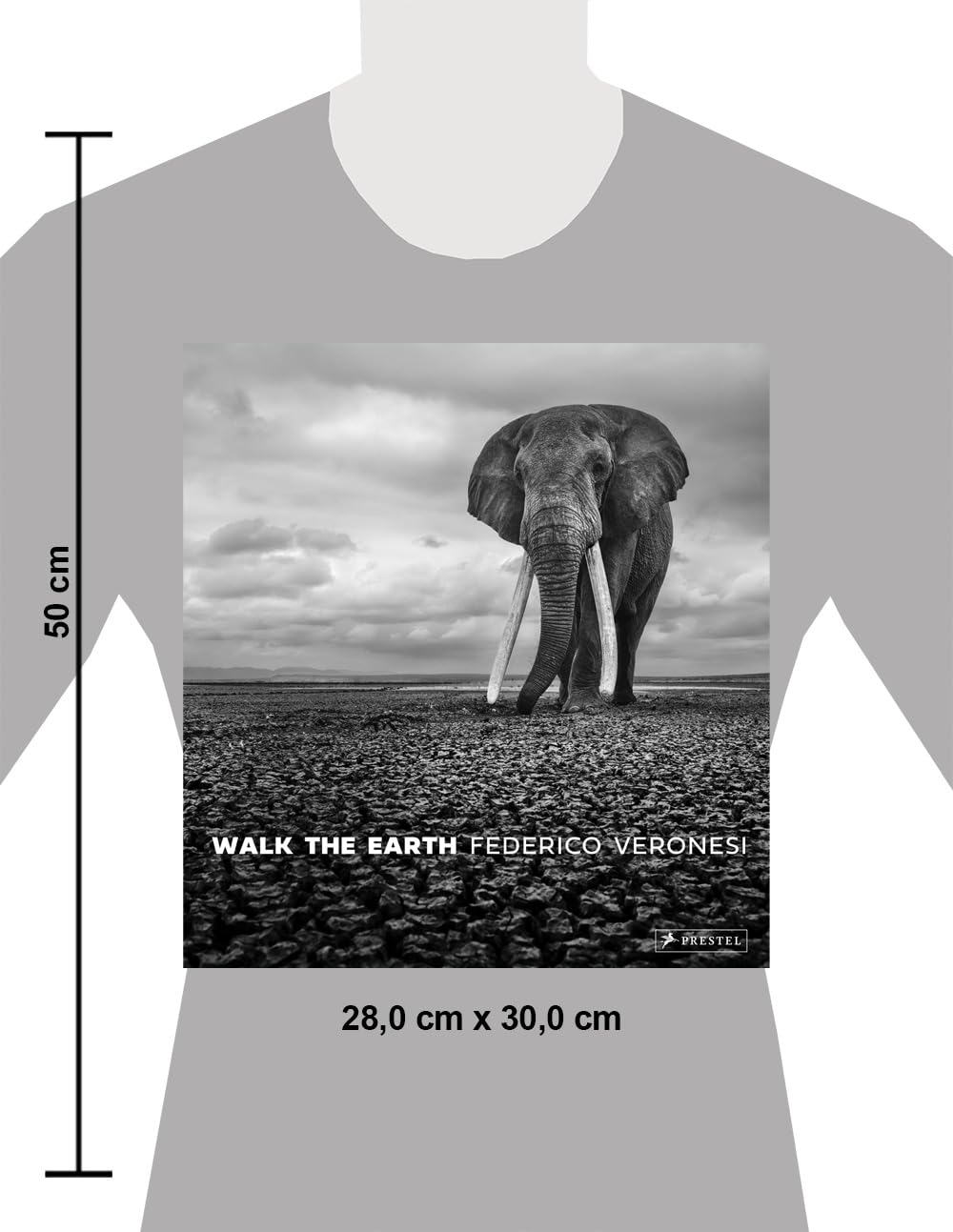 Walk the Earth: Federico Veronesi