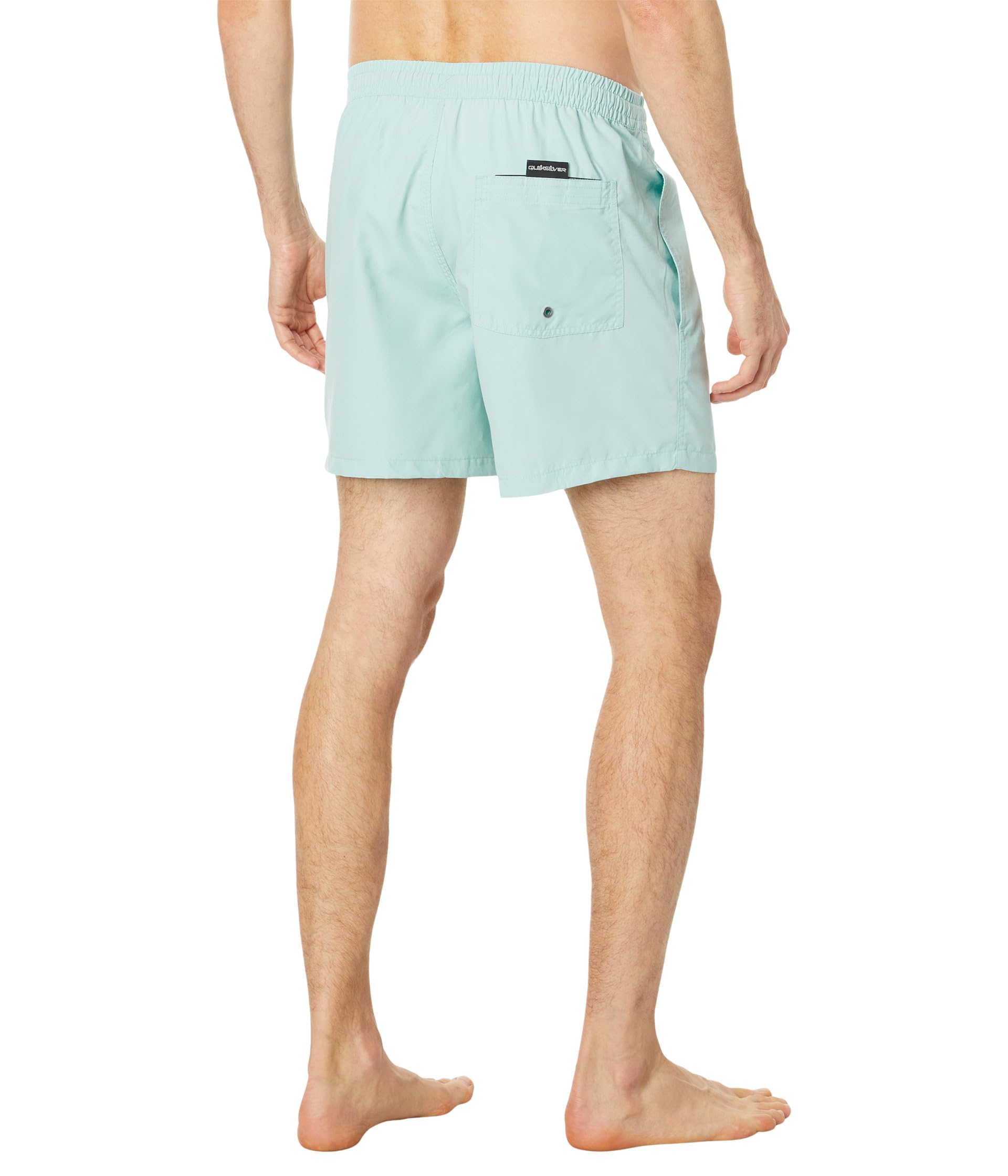 Quiksilver Everyday Vert 16