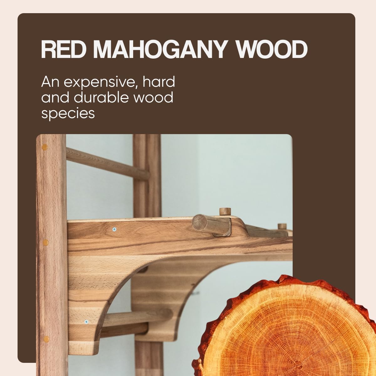 Générique Escalera sueca de madera maciza de haya Timbergood - Muro de gimnasia para niños y adultos, carga 400 kg, deportes en casa, equipo multifuncional de interior.