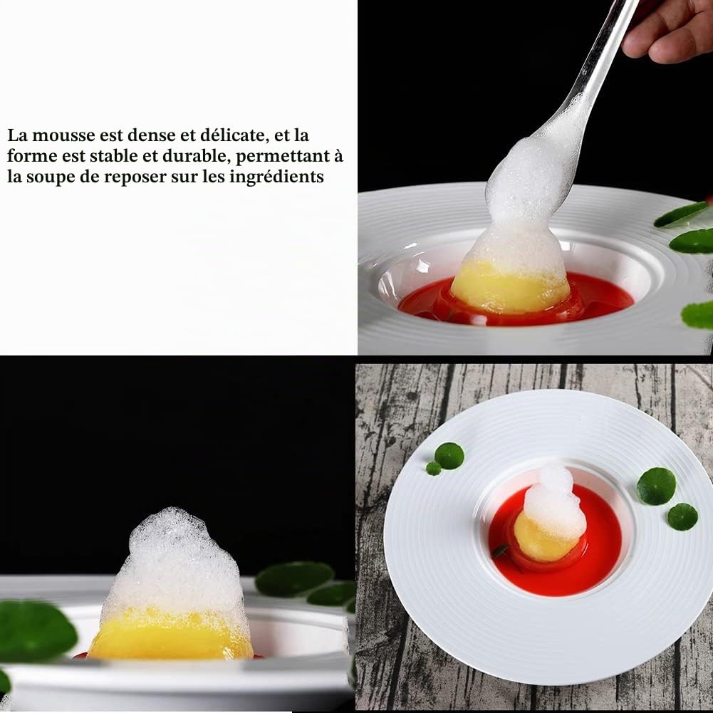 DUEBEL Kit de mousse pour cuisine moléculaire de gastronomie - Batterie rechargeable, portable et efficace - Kit de fabrication de mousse pour les aliments, outil de cuisine créatif pour les cuisines